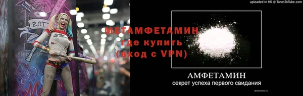крисы Козловка