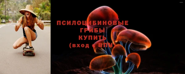 дмт Козельск