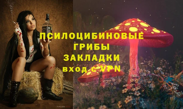 бошки Киренск