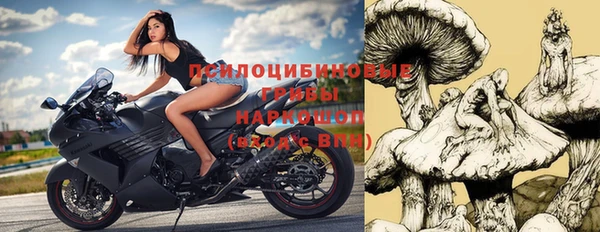 прущая мука Карпинск