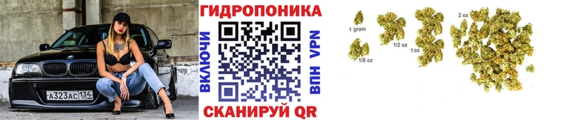 наркота  Краснокамск  Конопля план 